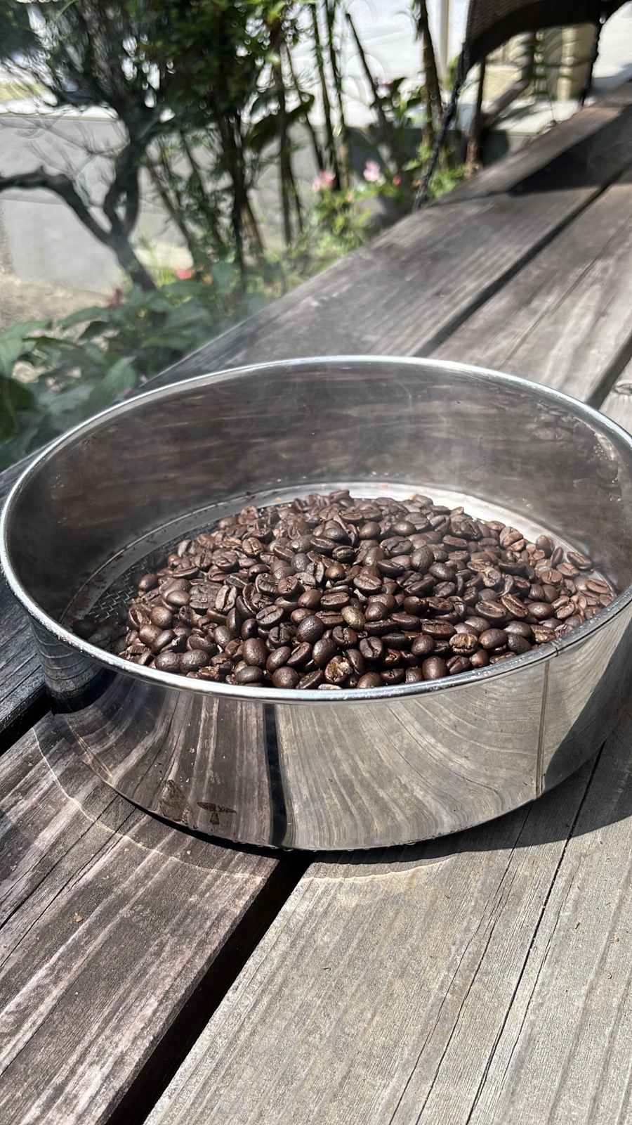 焙煎を終えたばかりの珈琲豆。冷却ざるの上でまだ湯気が立っている